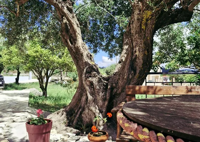 Olivo - Appartement