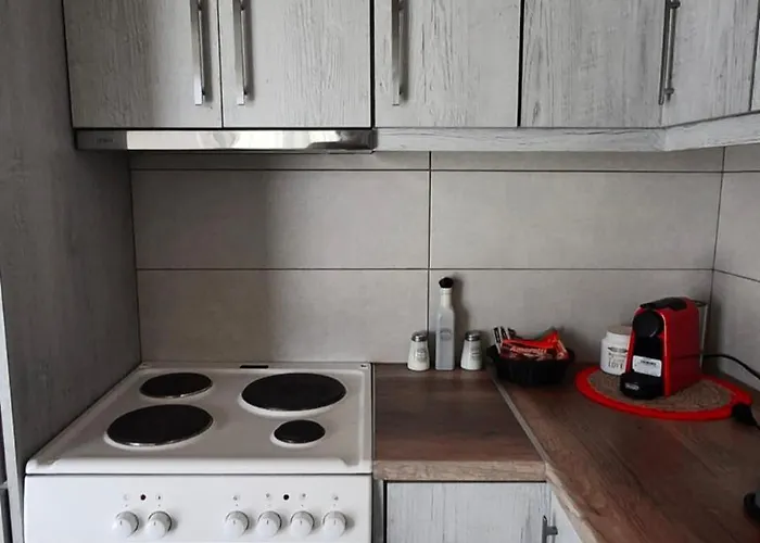 Olivo -