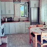Olivo - *