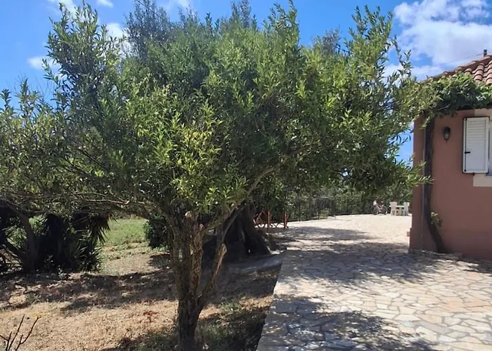 Olivo - Appartement