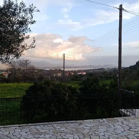 Olivo -