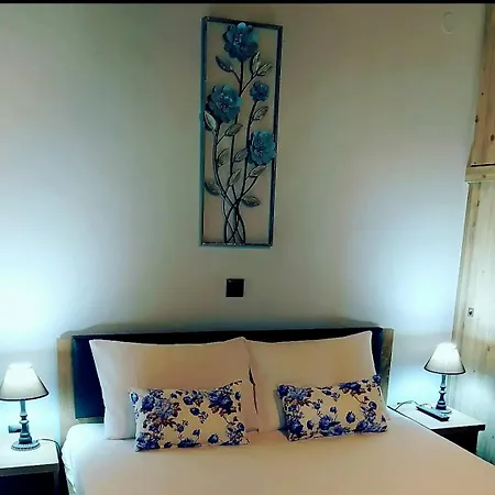 Olivo - ليكسوري