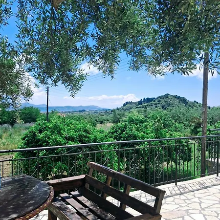 Olivo - * 里科索翁